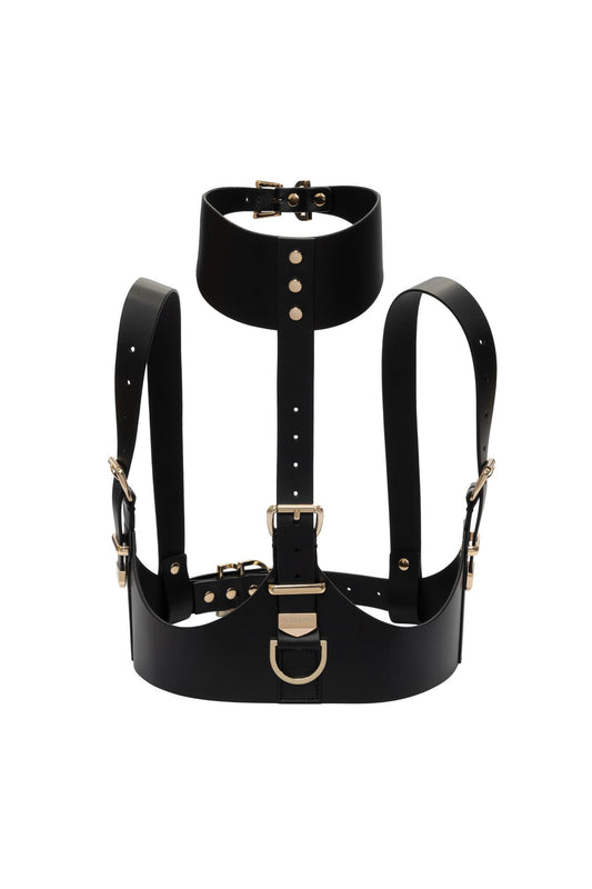 Harness "Luxe"