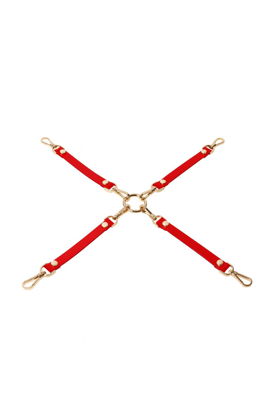 Extender "Parametre" Rot